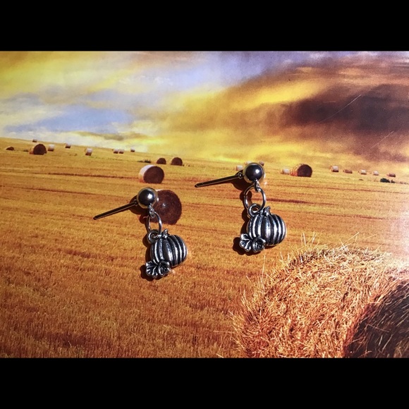 Pumpkin earrings stainless studs silver fall 925 - Picture 2 of 7